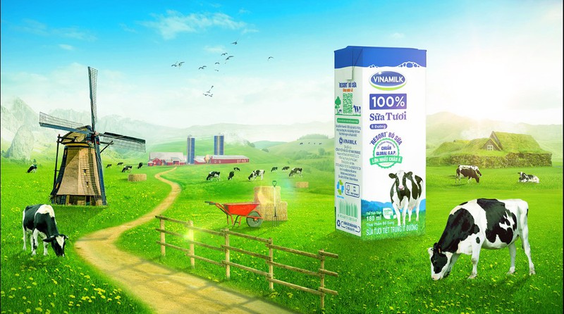 Sữa Tươi Vinamilk Green Farm: Hương Vị Tự Nhiên Từ Trang Trại Sinh Thái 4 Top 5 Sữa Tươi Vinamilk Green Farm